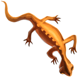 Orange Gecko