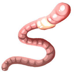 Worms