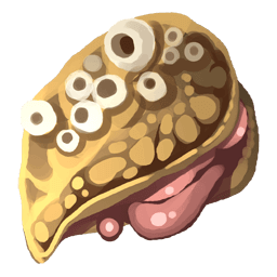 Mussel