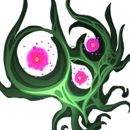 Magenta Growth