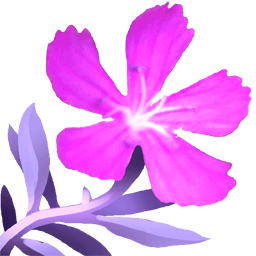 Purple Flower